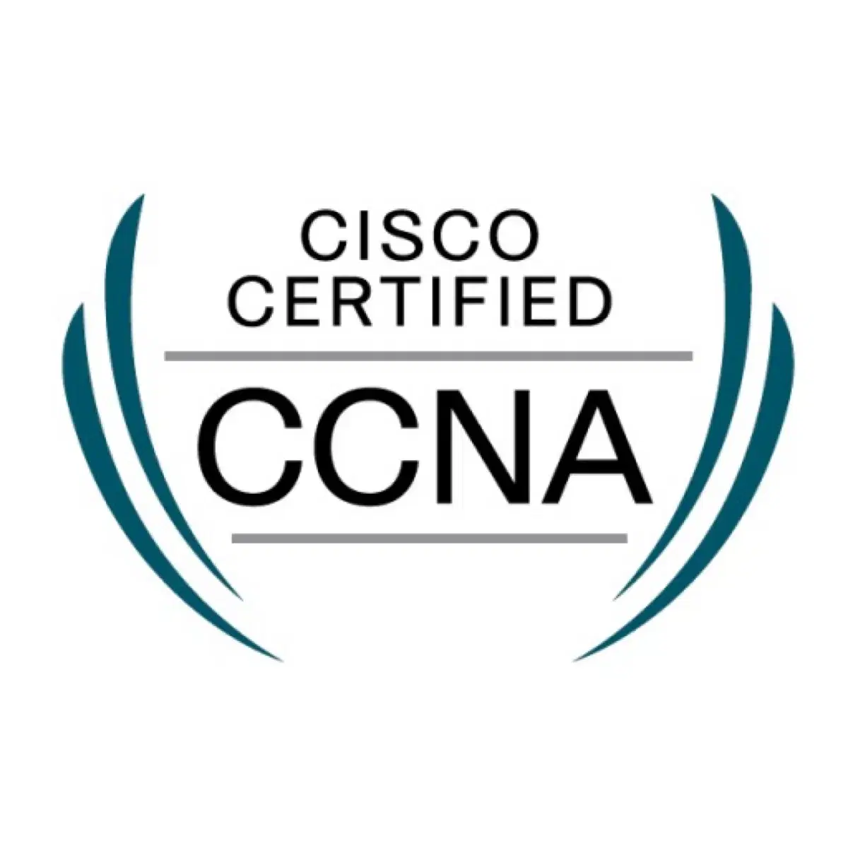 Ccna 9/29 덤프